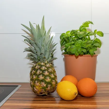 Apartmán Haus Elli Rostock